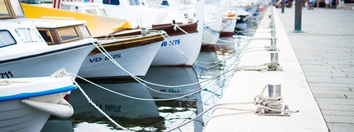 boats in a marina