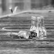 empty liquor bottles