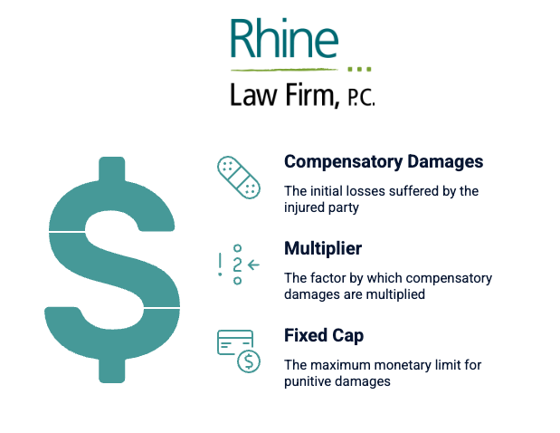 Rhine infographic explaining three elements of damage valuation: 1) Compensatory Damages (initial losses suffered by the injured party), 2) Multiplier (factor used to increase compensatory damages), and 3) Fixed Cap (maximum limit on punitive damages). A large dollar sign and matching icons visually support each point.