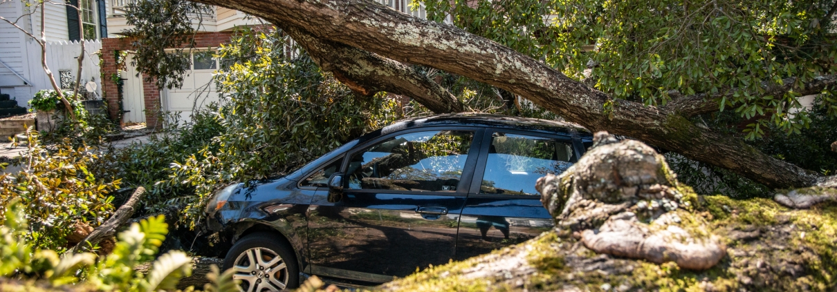 What to Do in the First 24 Hours After a Car Accident in North Carolina