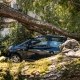 What to Do in the First 24 Hours After a Car Accident in North Carolina